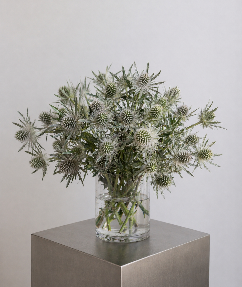 Bouquet XL de chardons bleutés ux nuances vertes et argentées