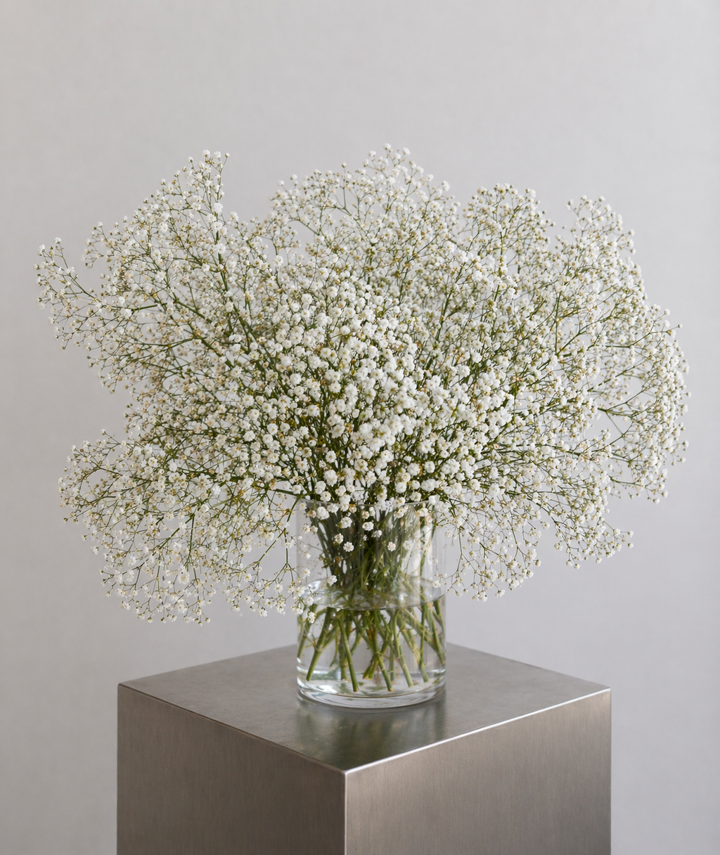 Bouquet XL de gypsophile blanc effet nuage vaporeux et aérien