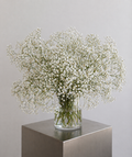 Bouquet XL de gypsophile blanc effet nuage vaporeux et aérien