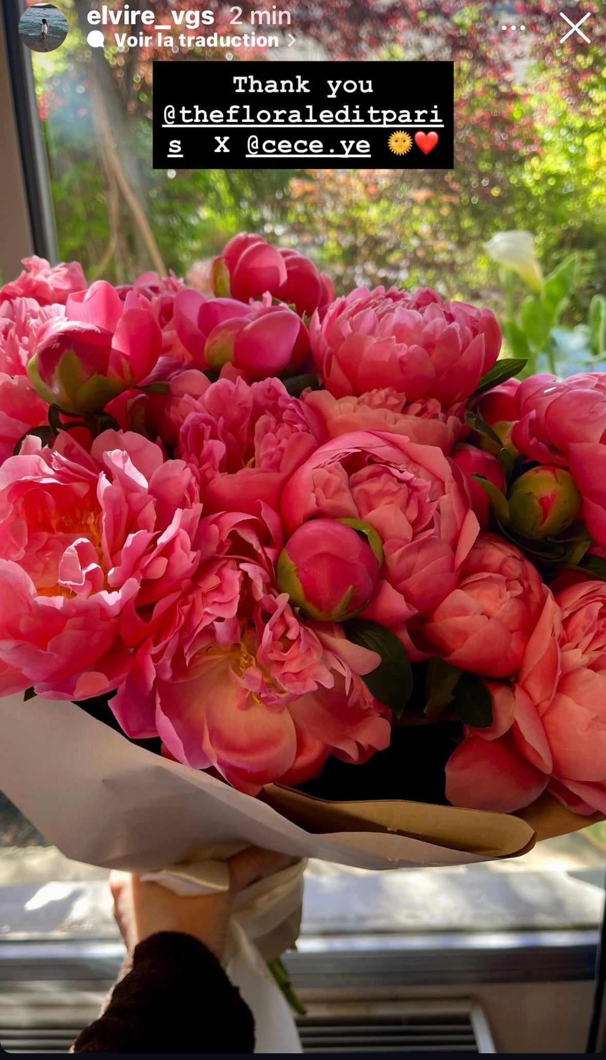 Bouquet of pink peonies