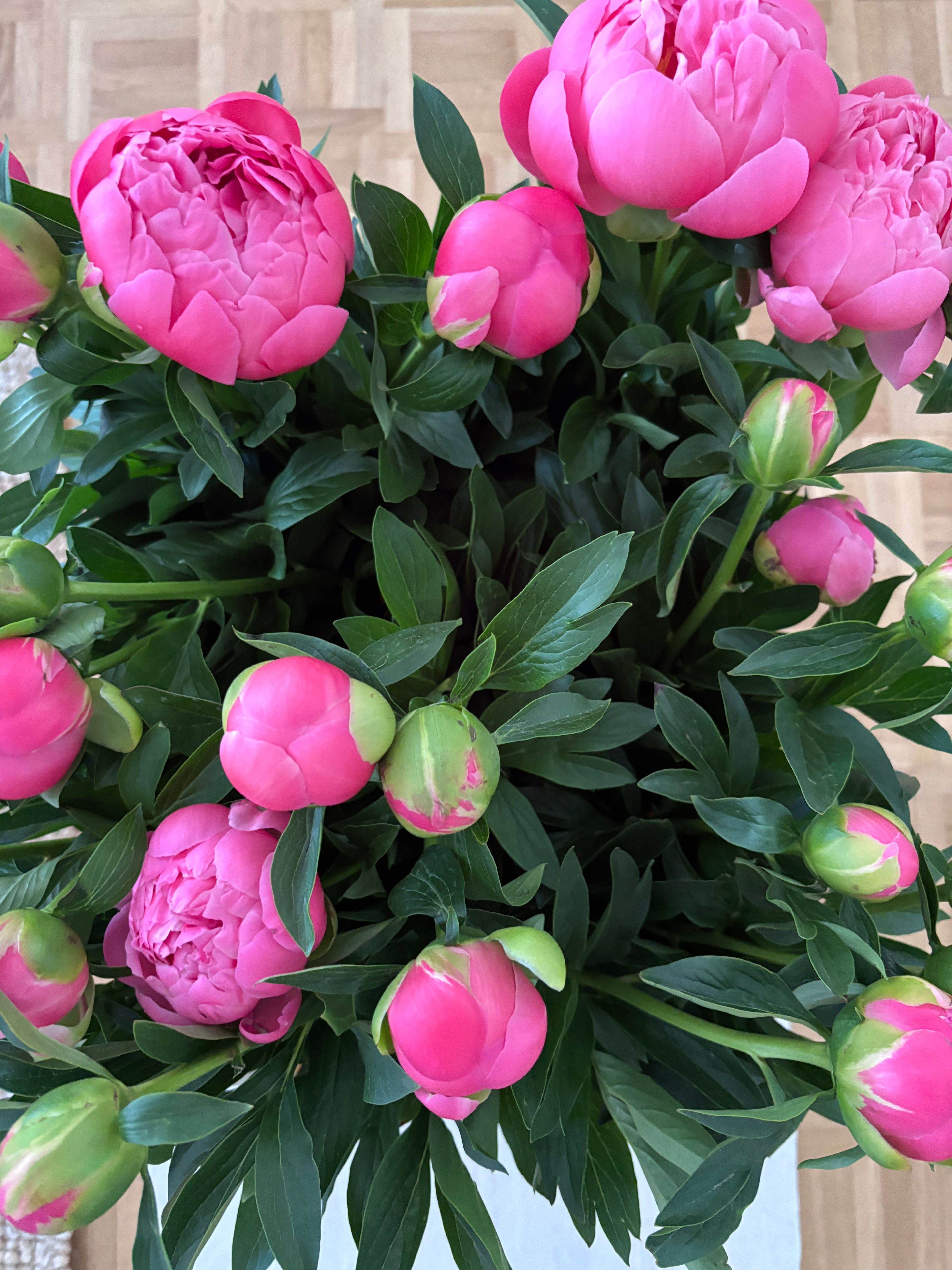 Bouquet de pivoines roses fraîches qualité premium romantique et élégant