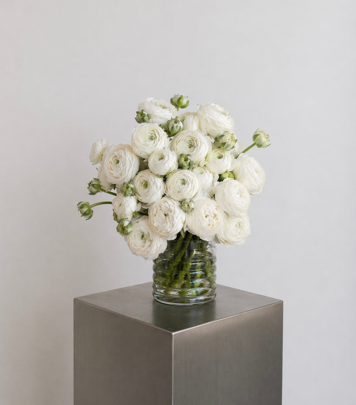 Bouquet 30 renoncules blanches fraîches dans un vase en verre